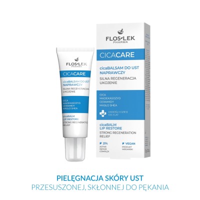 CICA CARE CICAbalsam do ust naprawczy 10 g - Floslek